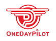 One Day Pilot